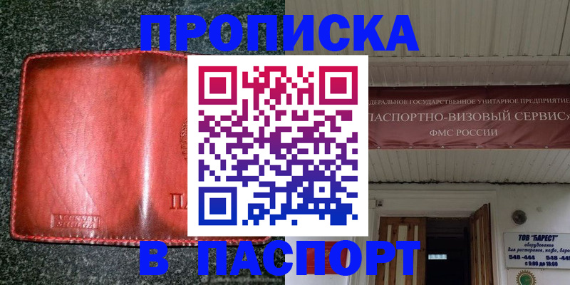 временная прописка в Новозыбкове