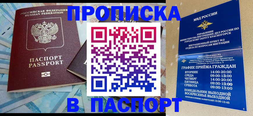 найти адрес прописки в Новозыбкове